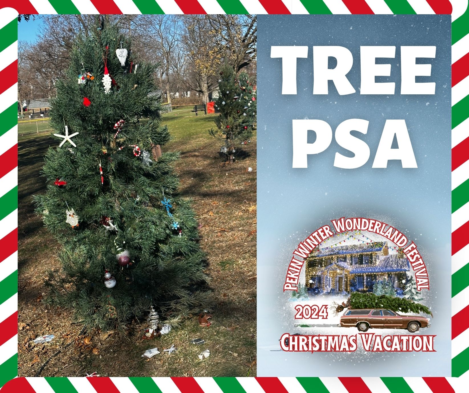 image of christmas tree, the 2024 winter wonderland logo, and the text "Tree PSA"