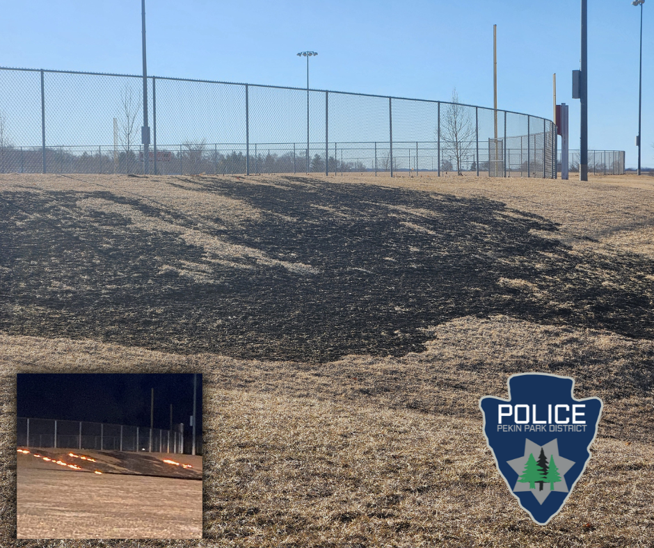 Photo of the grass damage from the fire