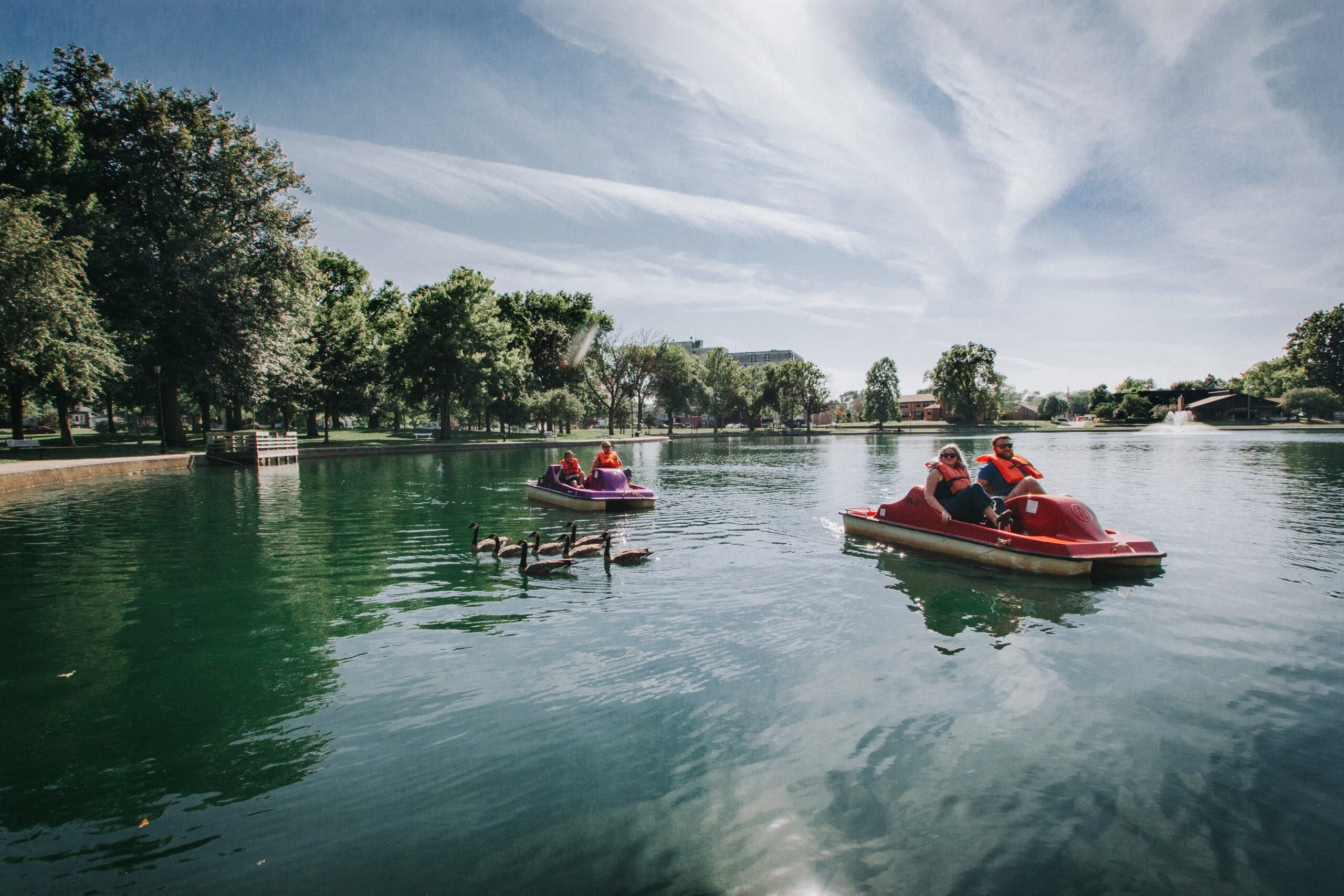 people paddle boating on the lagoon past a gaggle of geese.